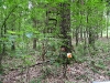 ol_10