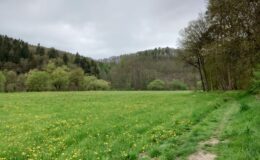 Wanderung